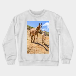 Wild Horse with Foal at Rano Raraku Crater - Rapa Nui - Easter Island Crewneck Sweatshirt